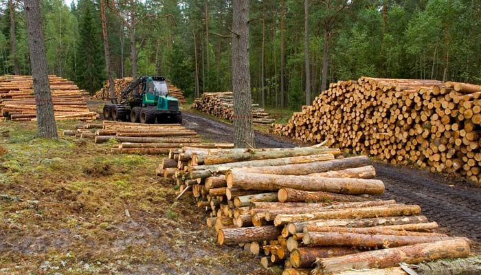 Exploitation forestière Exploitation forestière