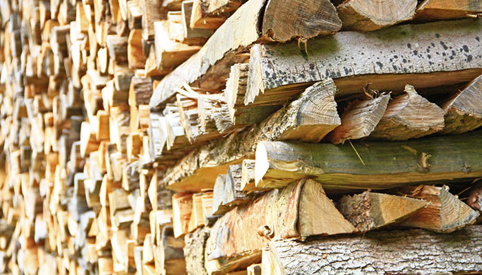 VENTE DE BOIS VENTE DE BOIS